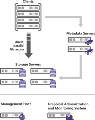 BeeGFS并行文件系统 高性能存储支持服务全解析